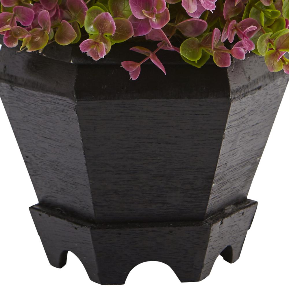 13in. Sedum and Eucalyptus Plant with Planter. Picture 5