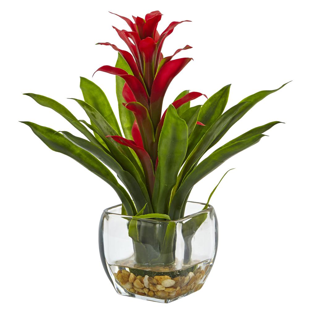 Bromeliad with Glass Vase Arrangement, Red. Picture 1