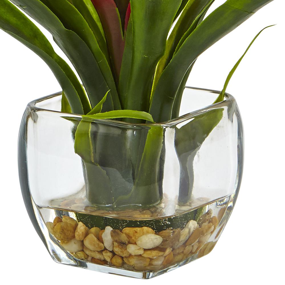 Bromeliad with Glass Vase Arrangement, Red. Picture 3