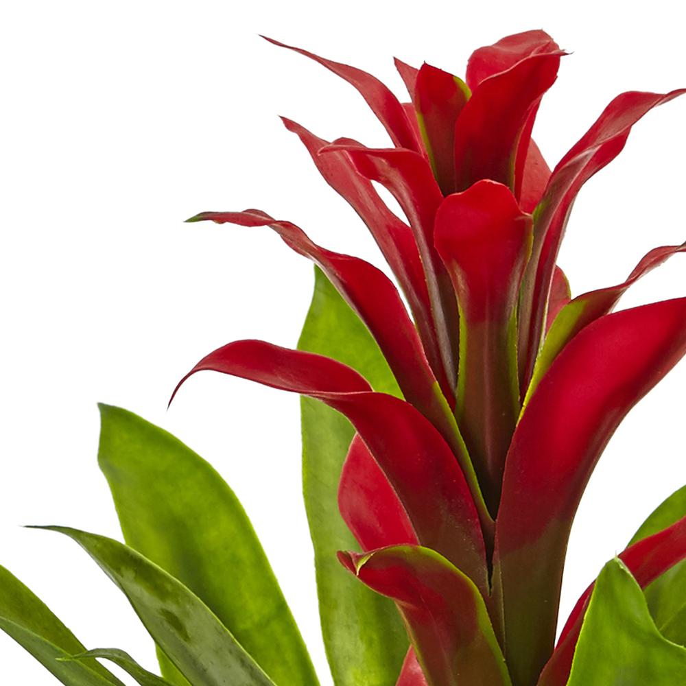 Bromeliad with Glass Vase Arrangement, Red. Picture 4