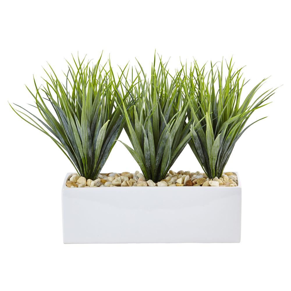 Vanilla Grass in Rectangular Planter. Picture 1