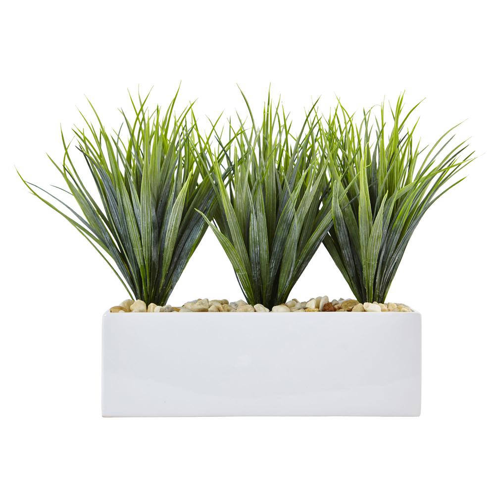 Vanilla Grass in Rectangular Planter. Picture 3