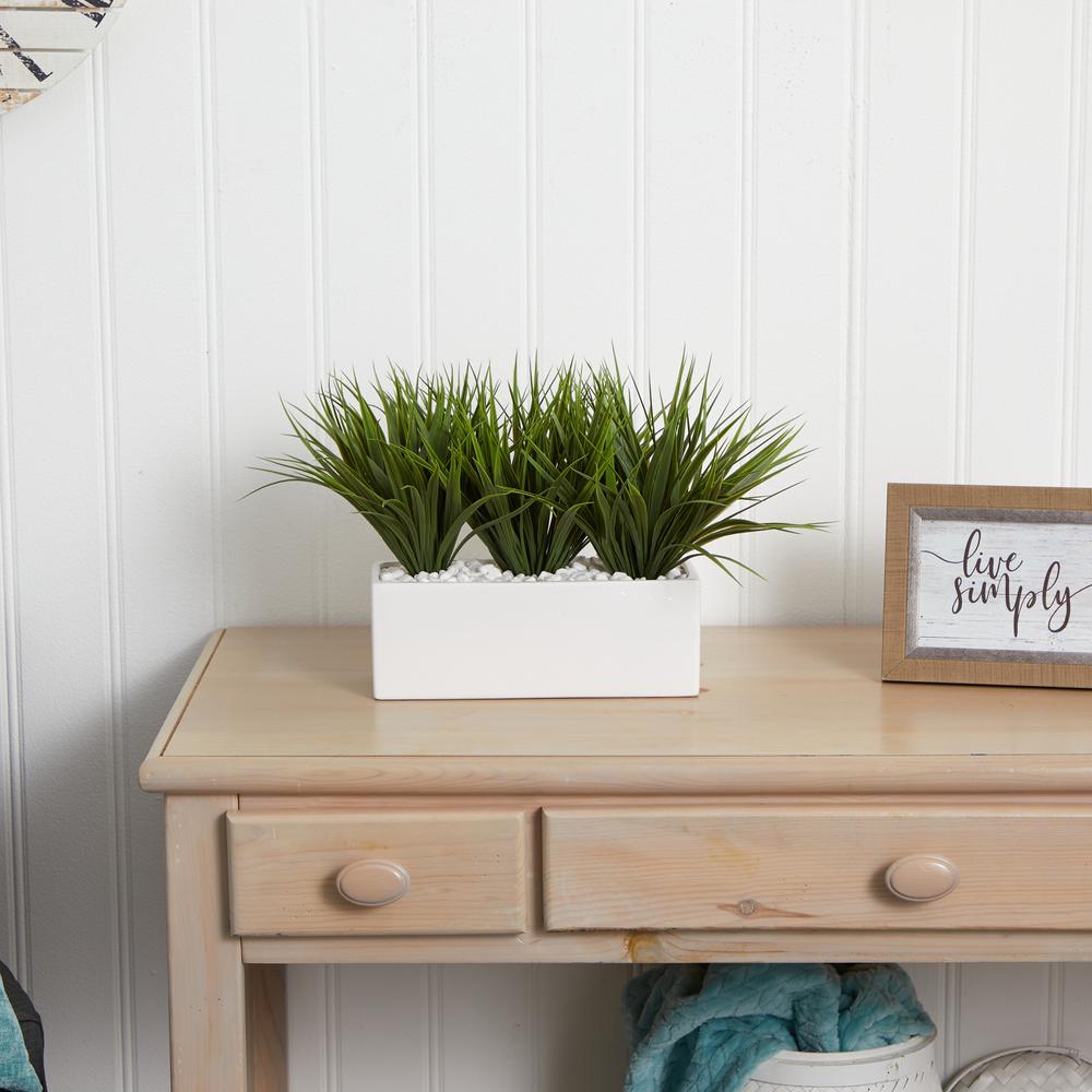 Vanilla Grass in Rectangular Planter. Picture 5