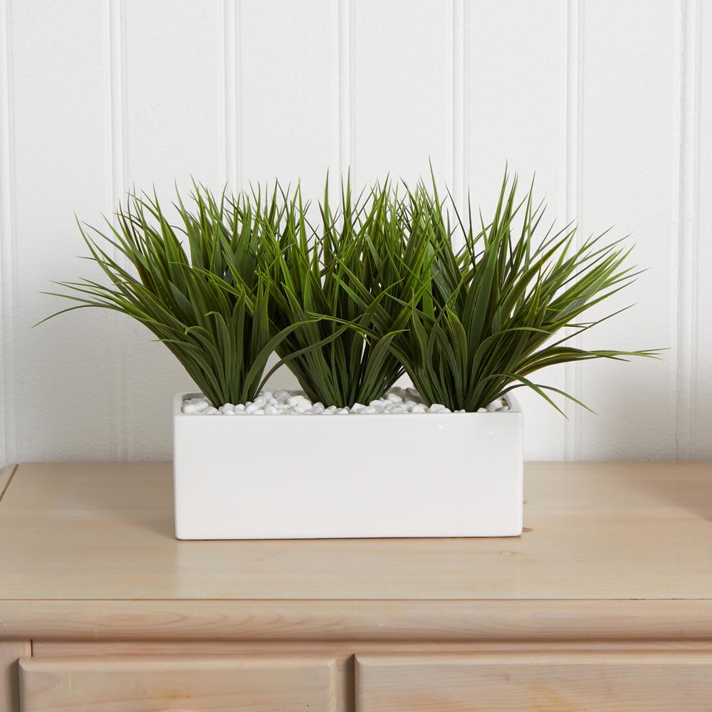 Vanilla Grass in Rectangular Planter. Picture 2