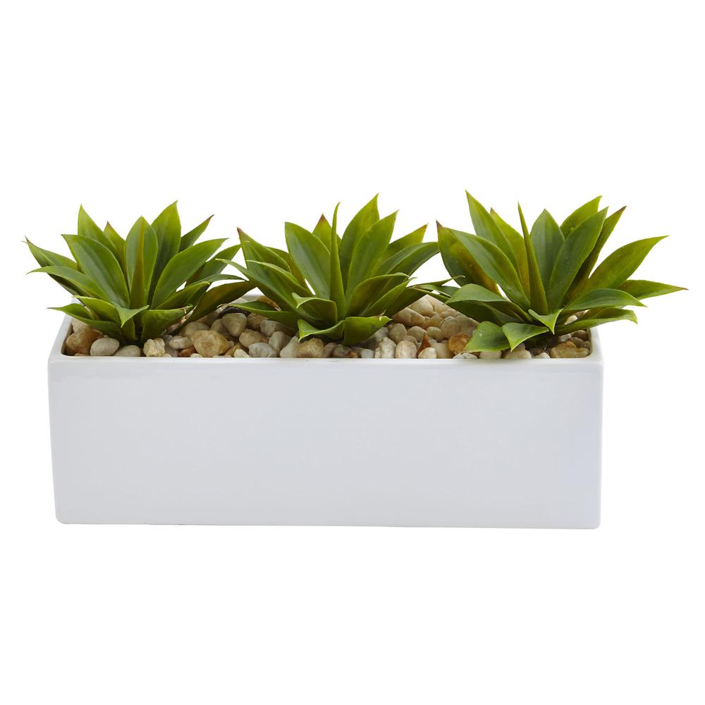 Agave Succulent in Rectangular Planter. Picture 1