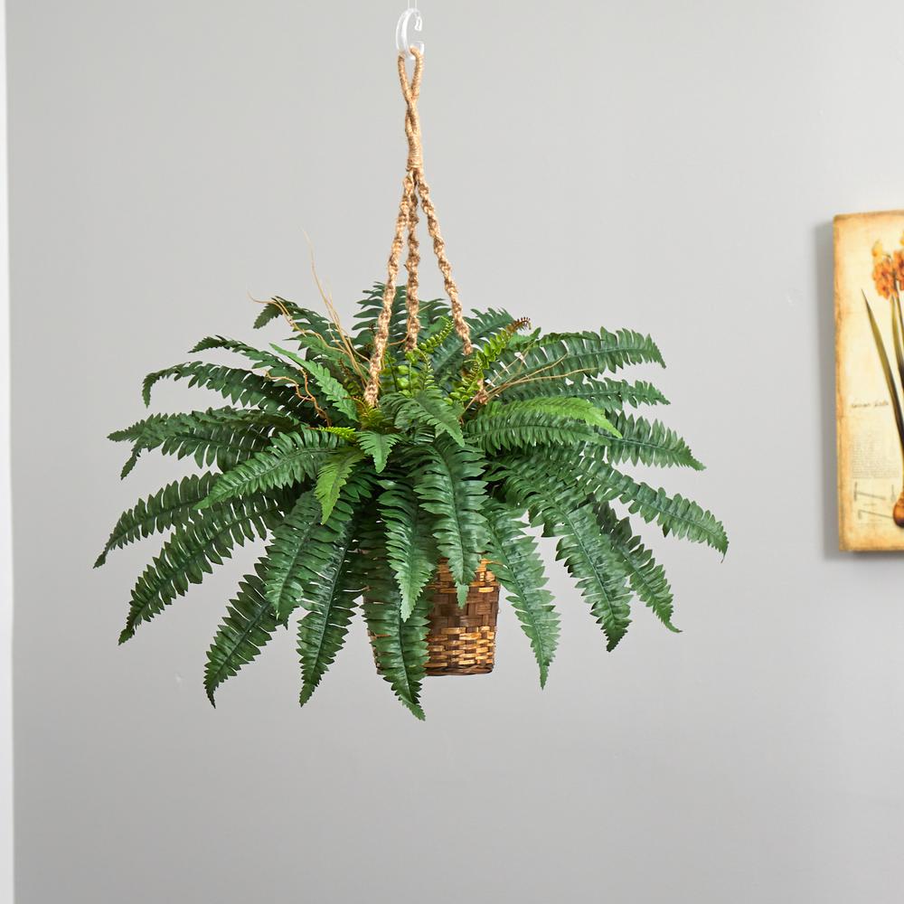 Boston Fern Hanging Basket Green. Picture 4