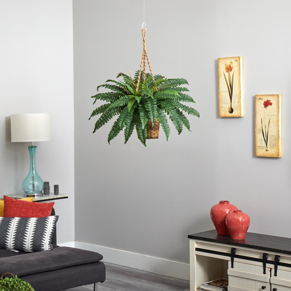 Boston Fern Hanging Basket Green. Picture 5
