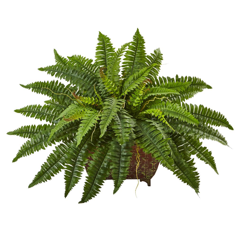 Boston Fern in Metallic Planter. Picture 1