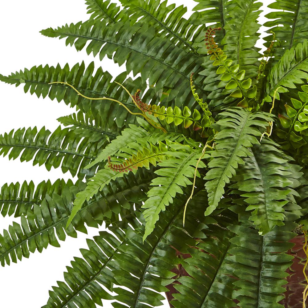 Boston Fern in Metallic Planter. Picture 5