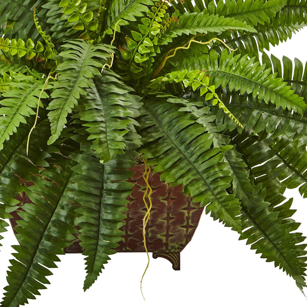 Boston Fern in Metallic Planter. Picture 4