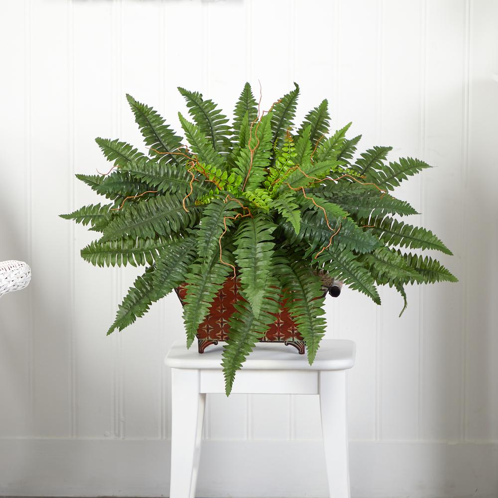Boston Fern in Metallic Planter. Picture 2