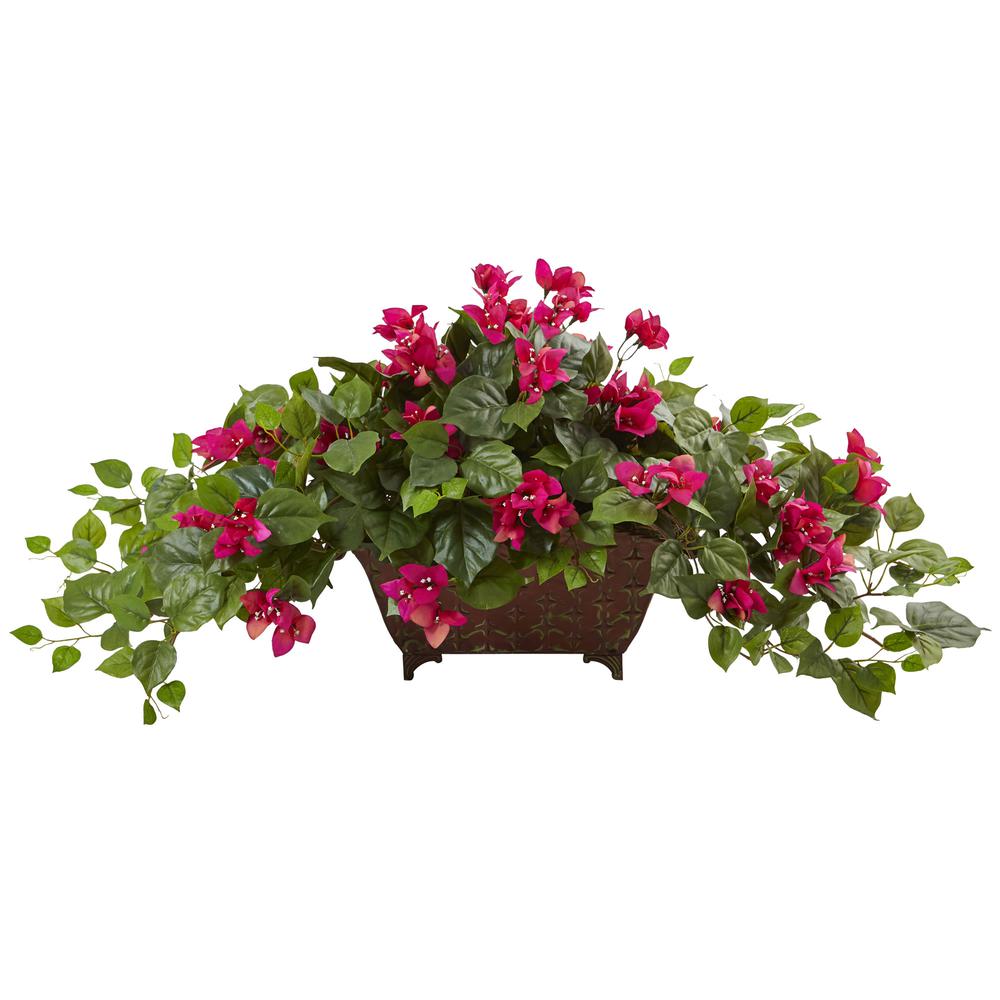 Bougainvillea in Metal Planter, Beauty. Picture 1