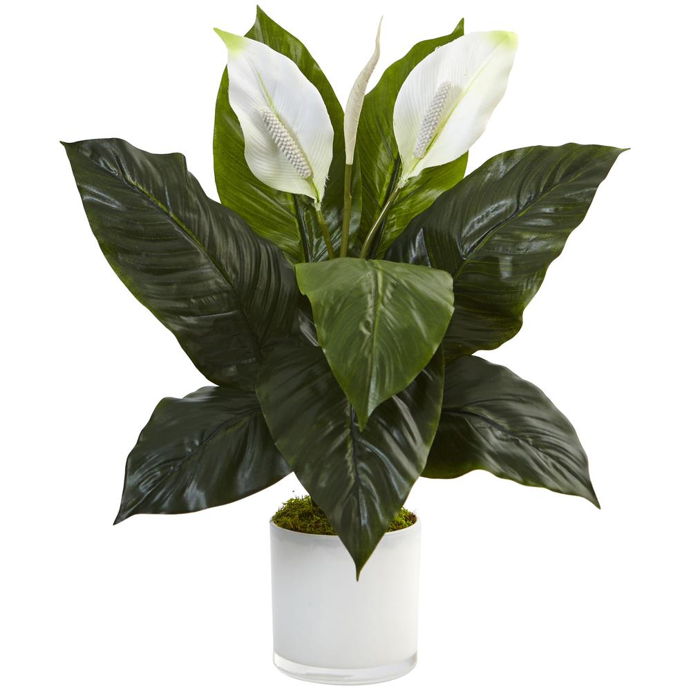 Spathiphyllum Artificial Flowering Peace Lily in Glossy Glass Planter. Picture 1