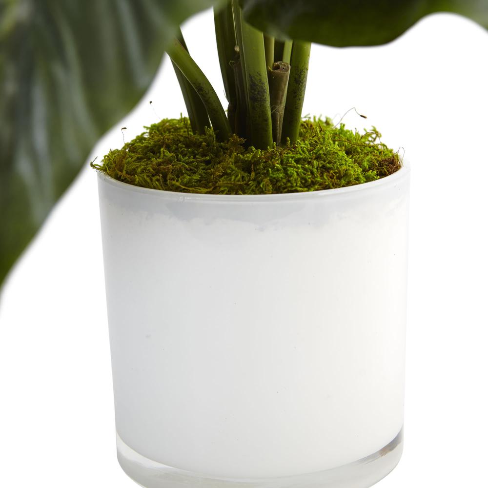 Spathiphyllum Artificial Flowering Peace Lily in Glossy Glass Planter. Picture 3