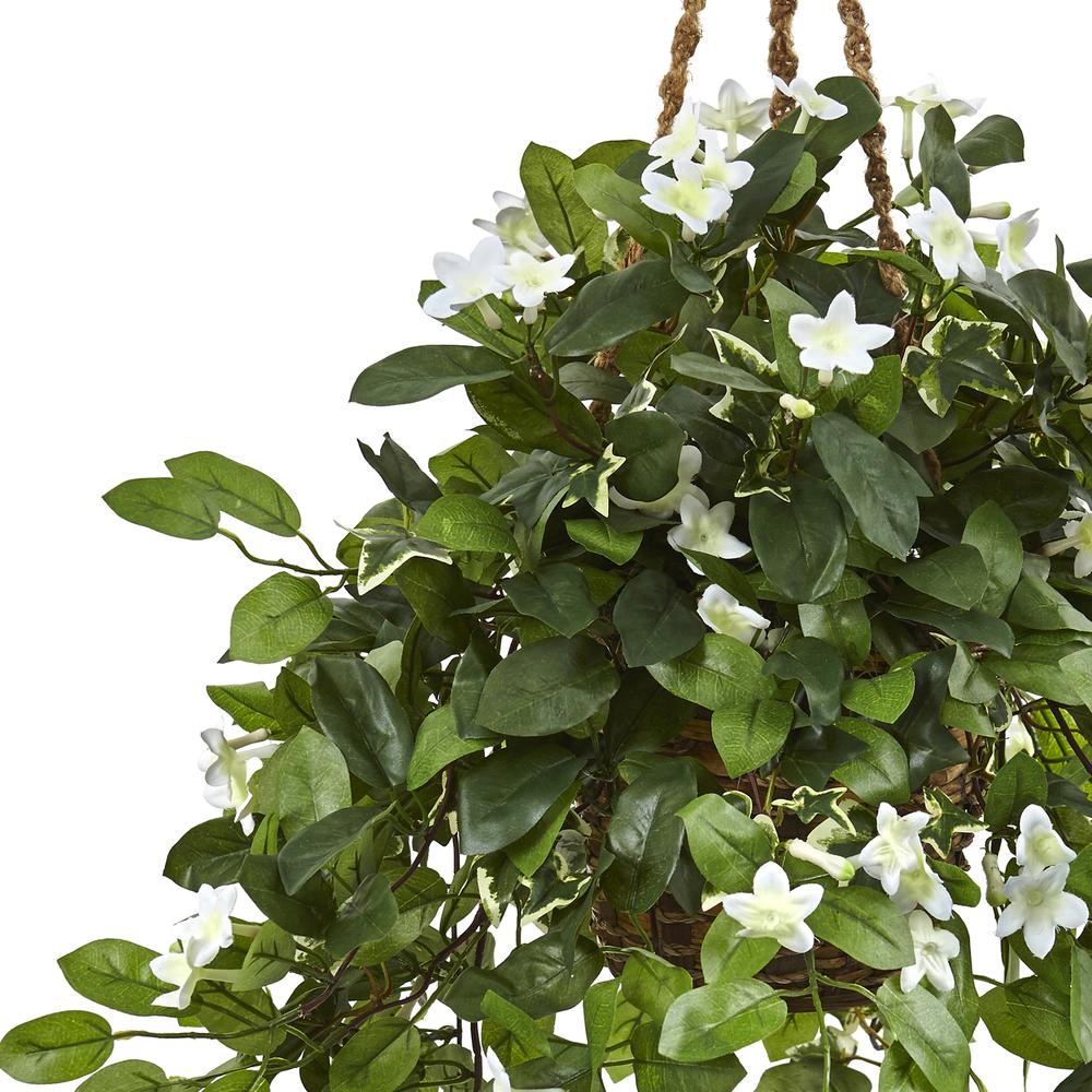Stephanotis Flowering Artificial Plant in Hanging Basket. Picture 5
