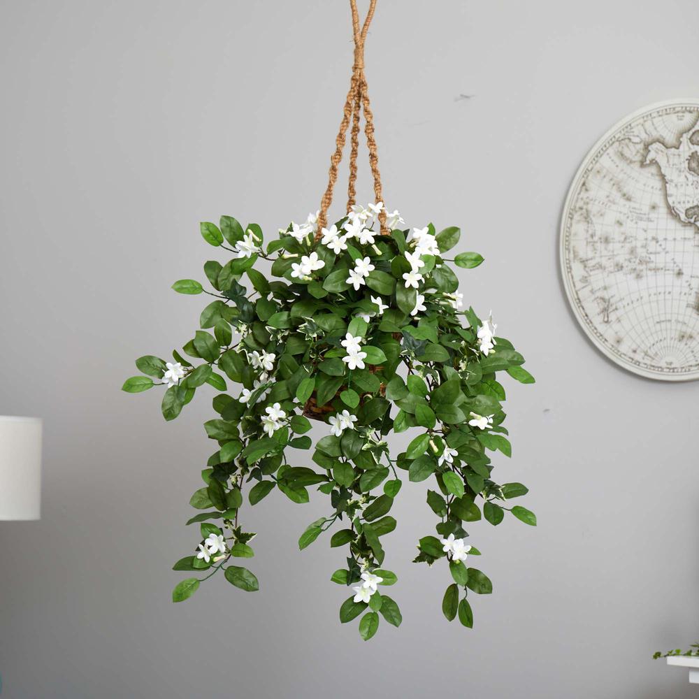 Stephanotis Flowering Artificial Plant in Hanging Basket. Picture 4