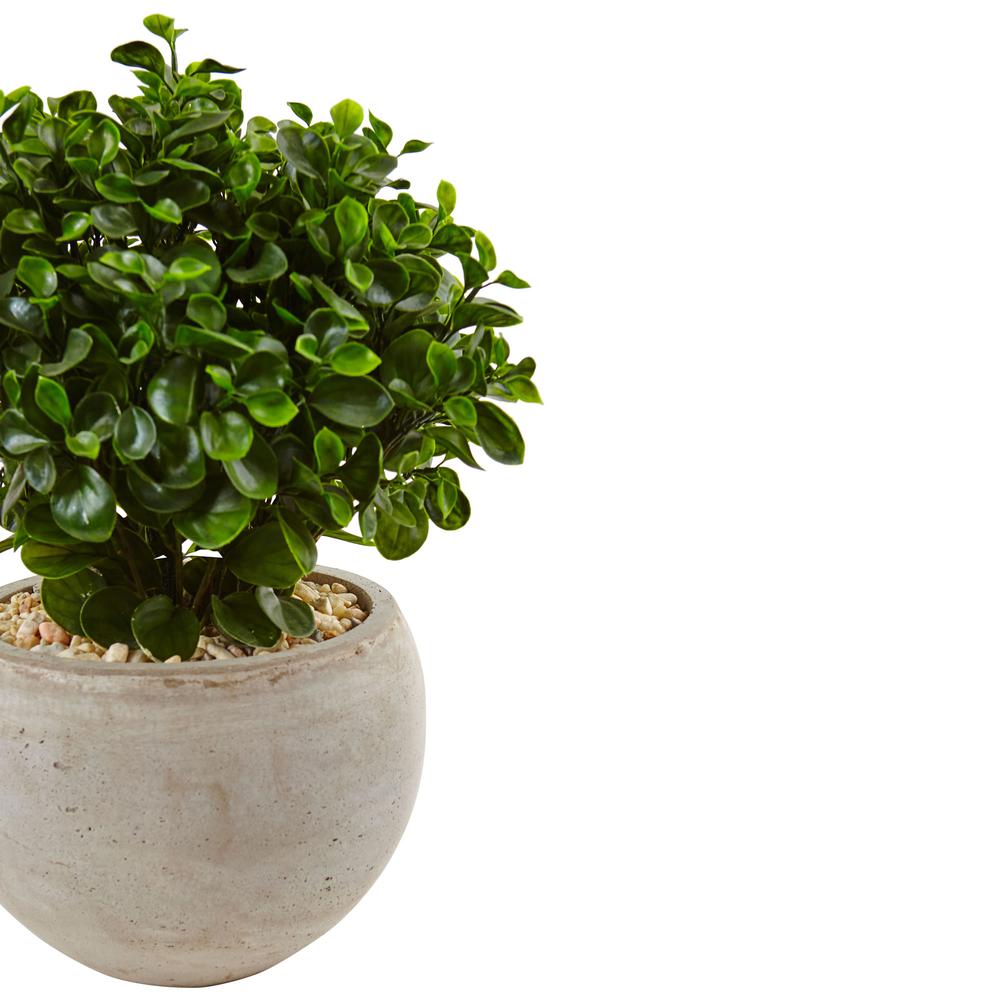 2ft. Eucalyptus Silk Plant in Sand Colored Bowl UV Resistant (Indoor/Outdoor). Picture 3