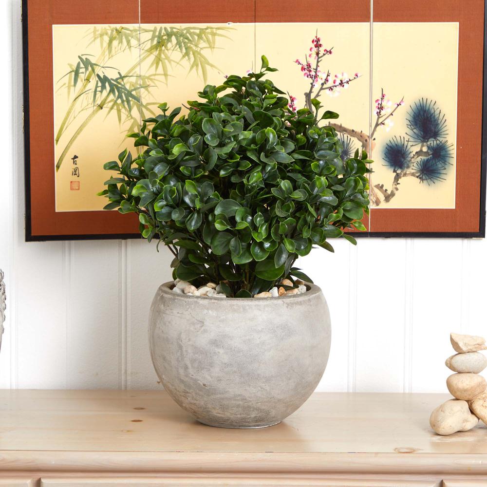 2ft. Eucalyptus Silk Plant in Sand Colored Bowl UV Resistant (Indoor/Outdoor). Picture 4