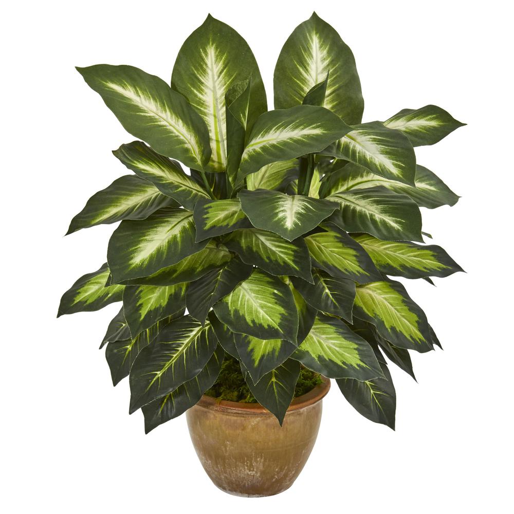 Dieffenbachia Artificial Plant in Ceramic Planter. Picture 1