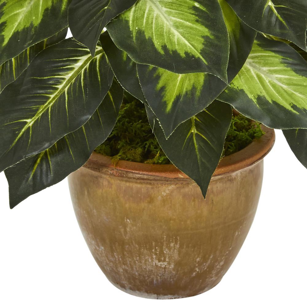 Dieffenbachia Artificial Plant in Ceramic Planter. Picture 3