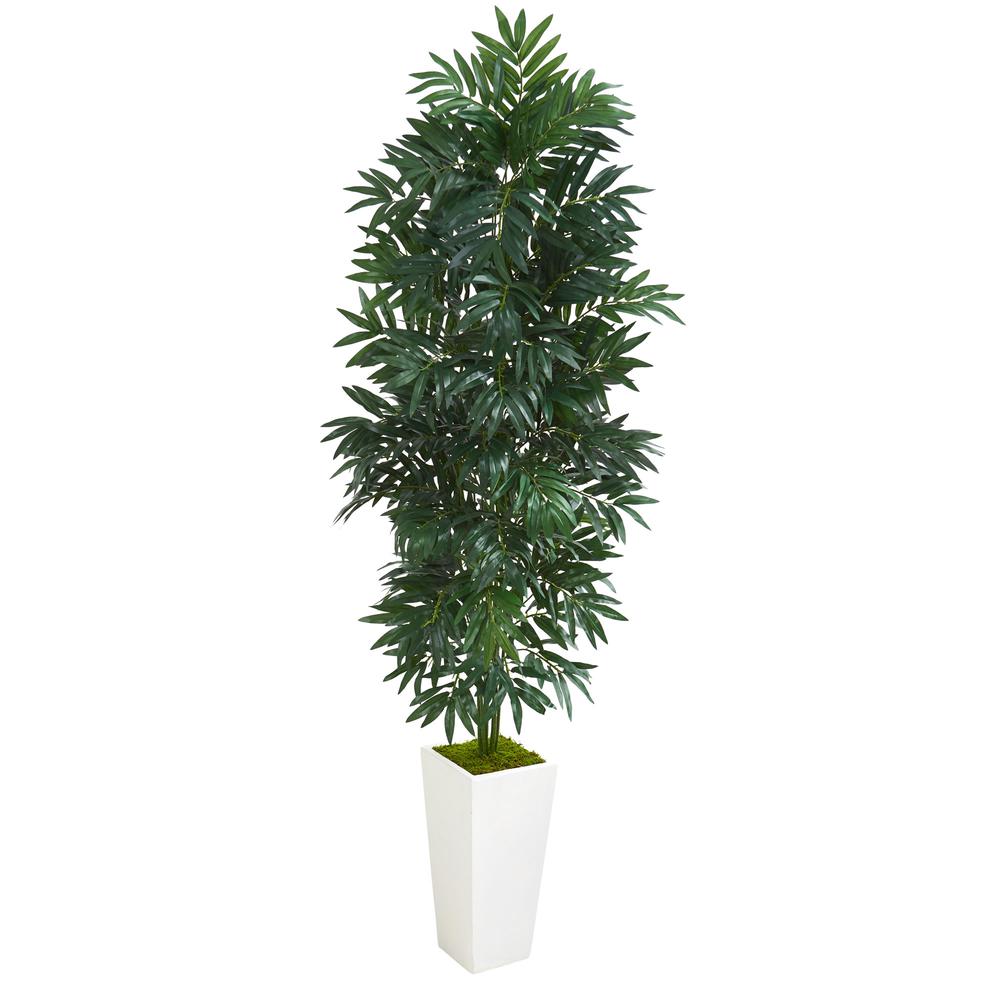 5ft. Bamboo Palm Artificial Plant in White Planter. Picture 1