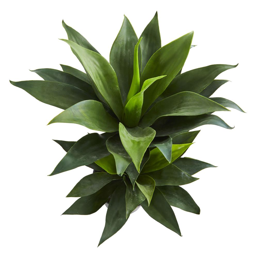 29in. Double Agave Succulent Artificial Plant. Picture 3