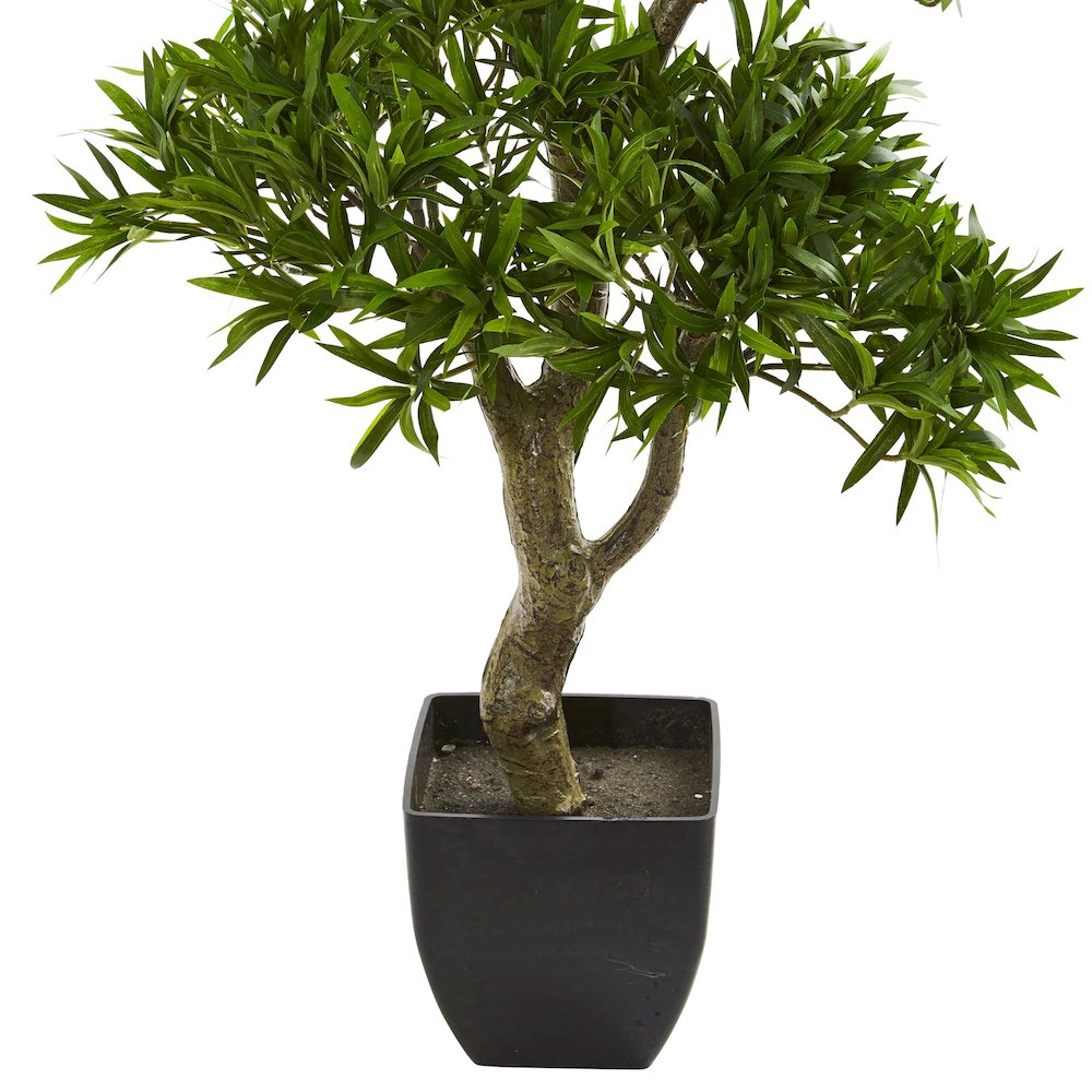 37in. Bonsai Styled Podocarpus Artificial Tree. Picture 3