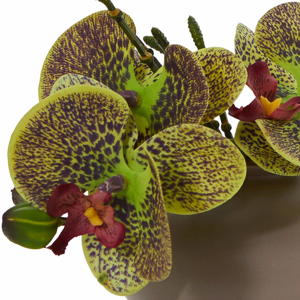 7in. Phalaenopsis Orchid Artificial Arrangement, Set of 3. Picture 2