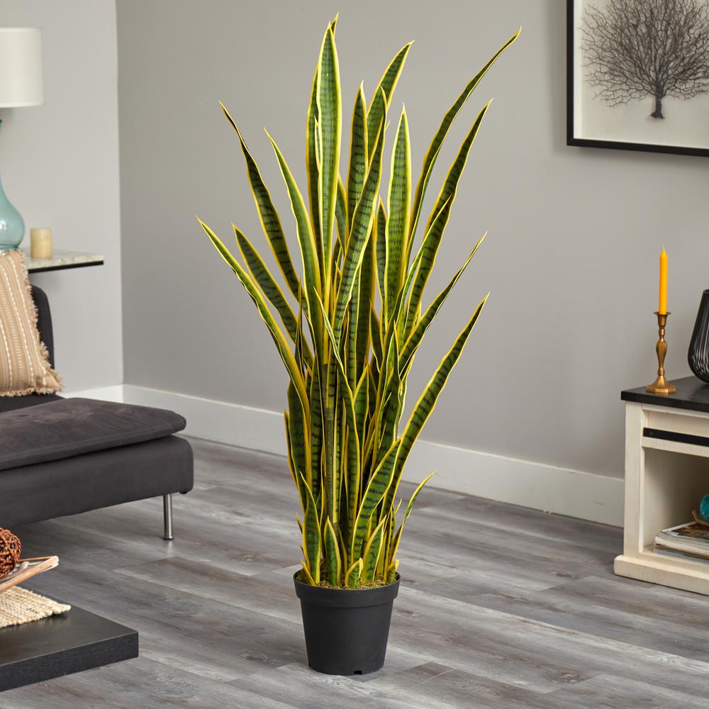 5ft. Sansevieria Artificial Plant. Picture 3