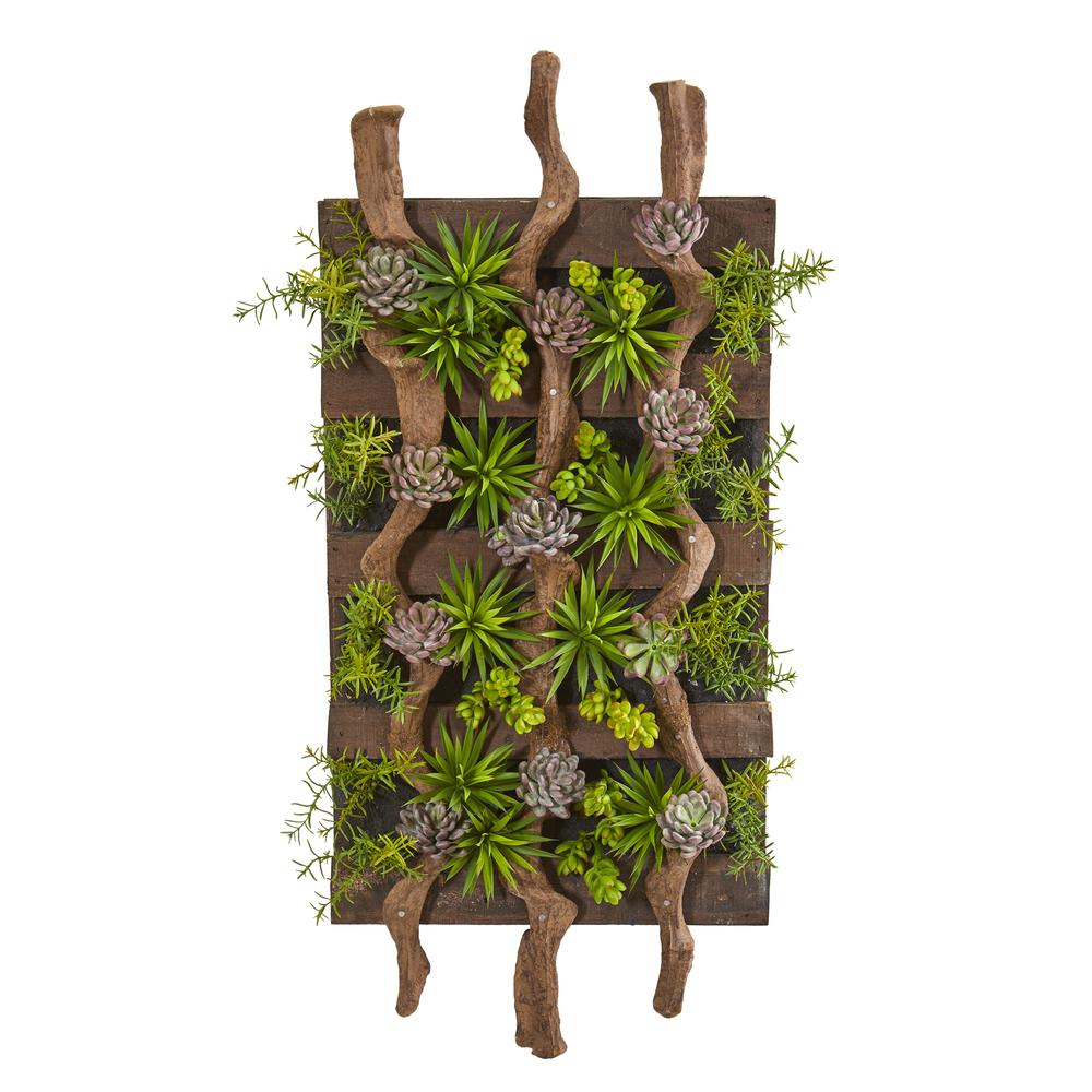 41in. x 19in. Mixed Succulent Artificial Living Wall. Picture 1