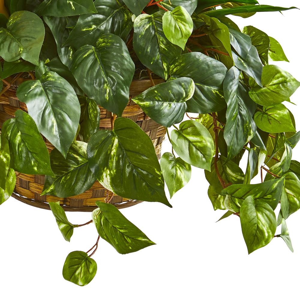 31in. Bromeliad & Pothos Artificial Plant in Hanging Basket. Picture 2