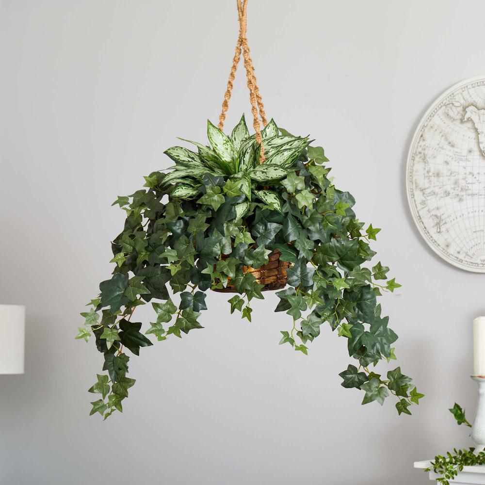30in. Silver Queen and Ivy Artificial Plant in Hanging Basket. Picture 3