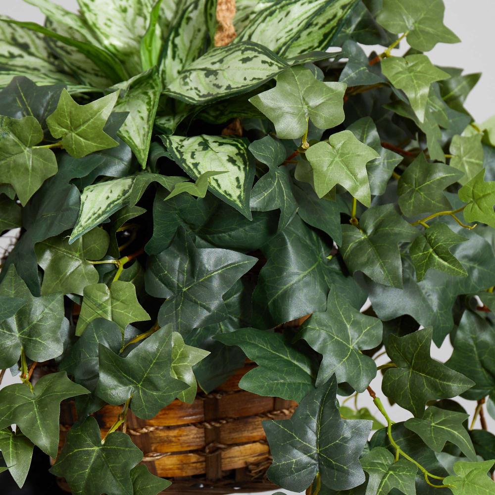 30in. Silver Queen and Ivy Artificial Plant in Hanging Basket. Picture 4