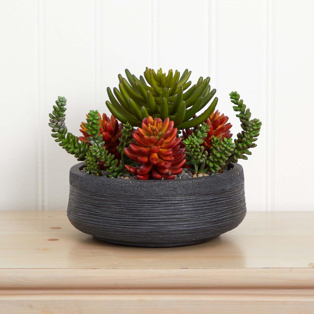 12in. Succulent Garden Artificial Plant in Bowl. Picture 2