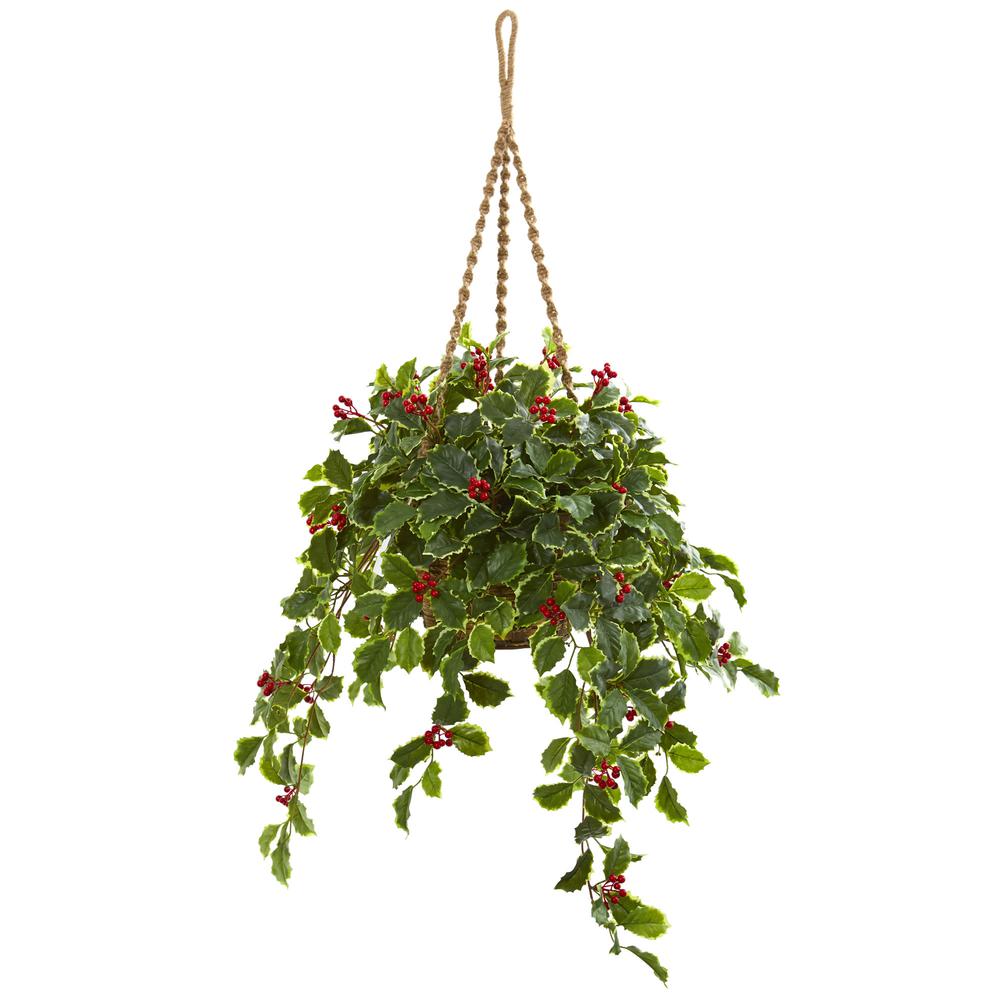 40in. Variegated Holly with Berries Artificial Plant in Hanging Basket. Picture 1
