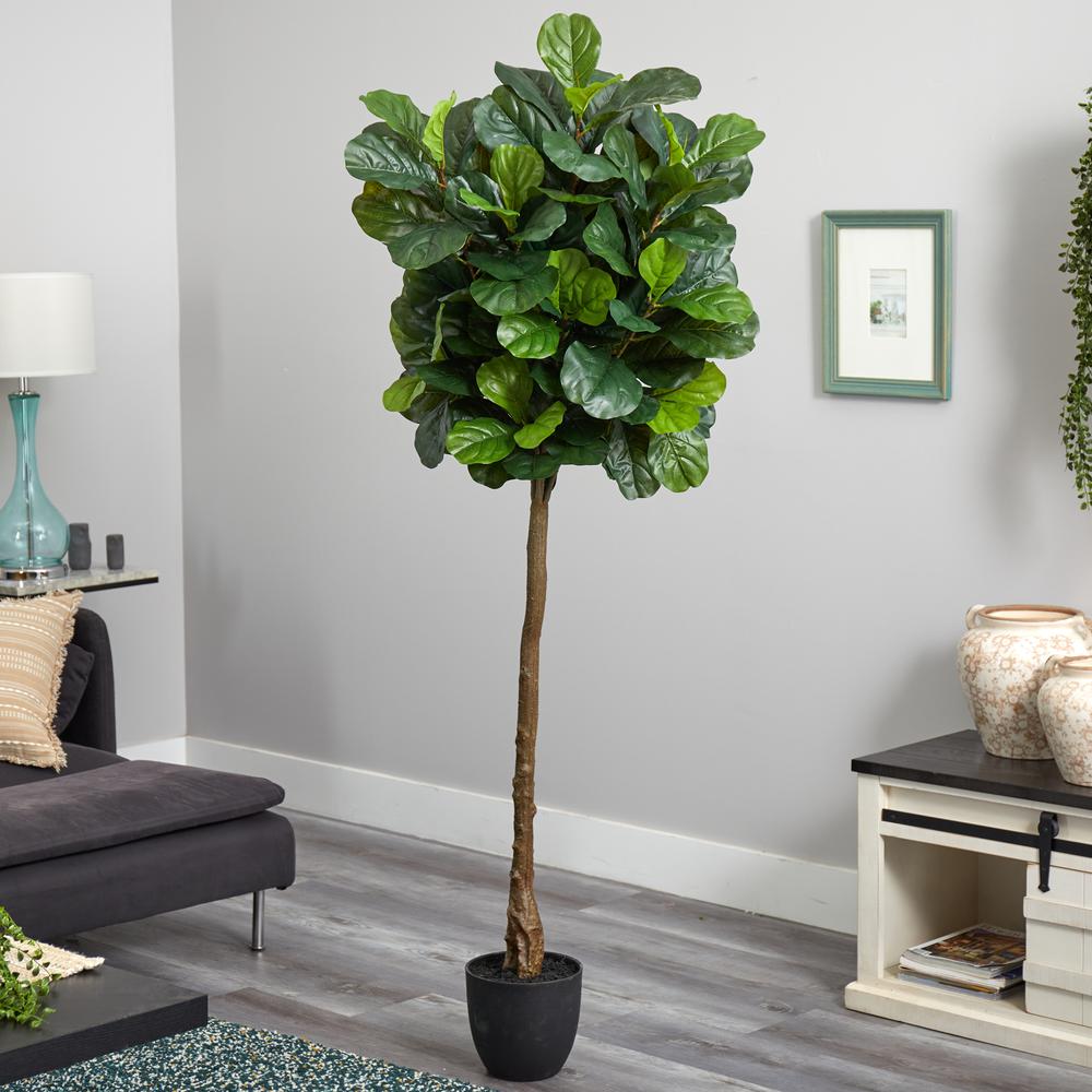6ft. Fiddle Leaf Artificial Tree (Real Touch). Picture 2