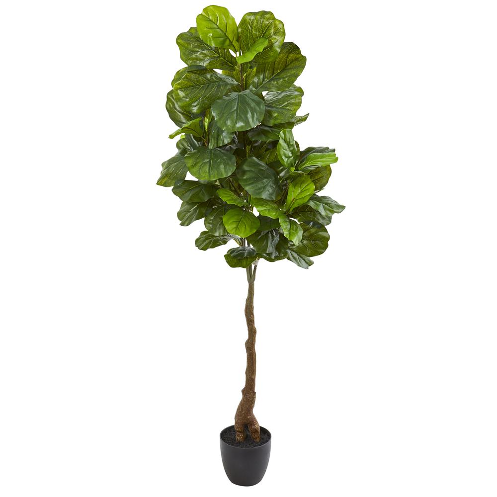 64in. Fiddle Leaf Artificial Tree (Real Touch). Picture 1
