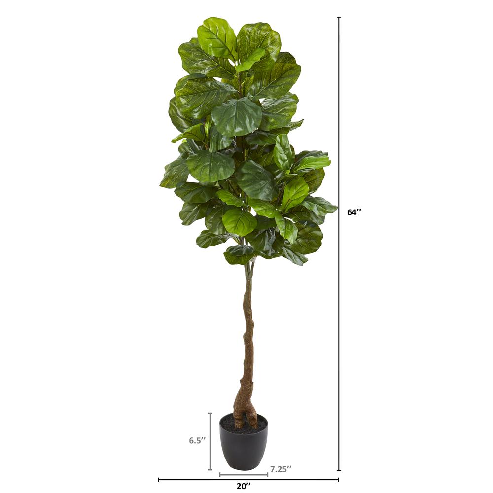 64in. Fiddle Leaf Artificial Tree (Real Touch). Picture 3