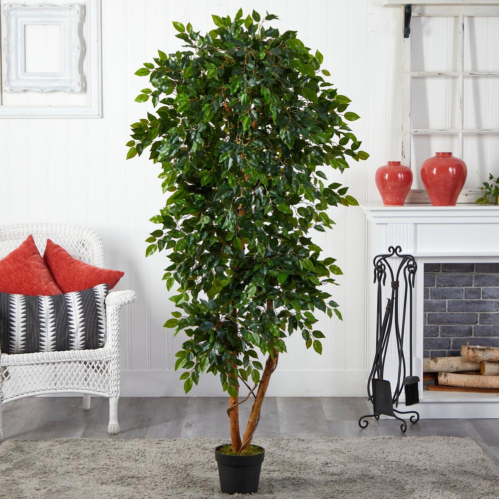 6ft. Elegant Ficus Artificial Tree. Picture 3