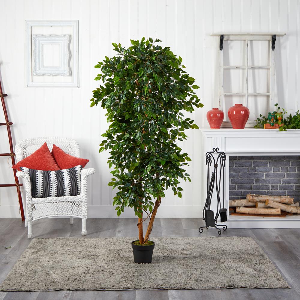 6ft. Elegant Ficus Artificial Tree. Picture 2