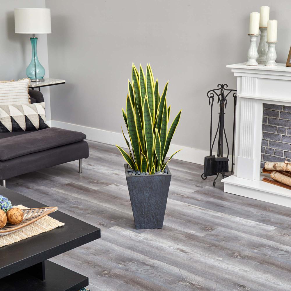 3.5ft. Sansevieria Artificial Plant in Slate Planter. Picture 4