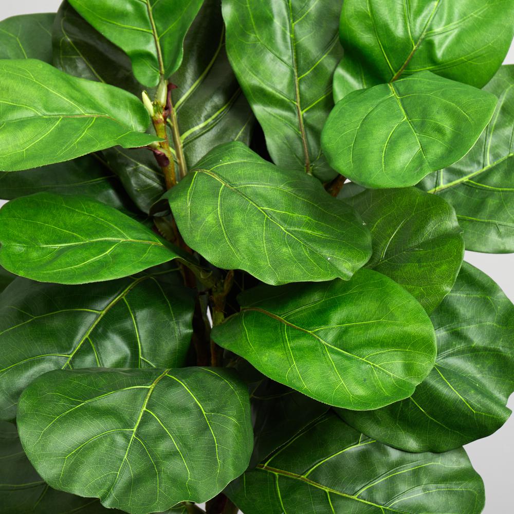 5.5ft. Fiddle Leaf Artificial Tree in White Tower Planter. Picture 4