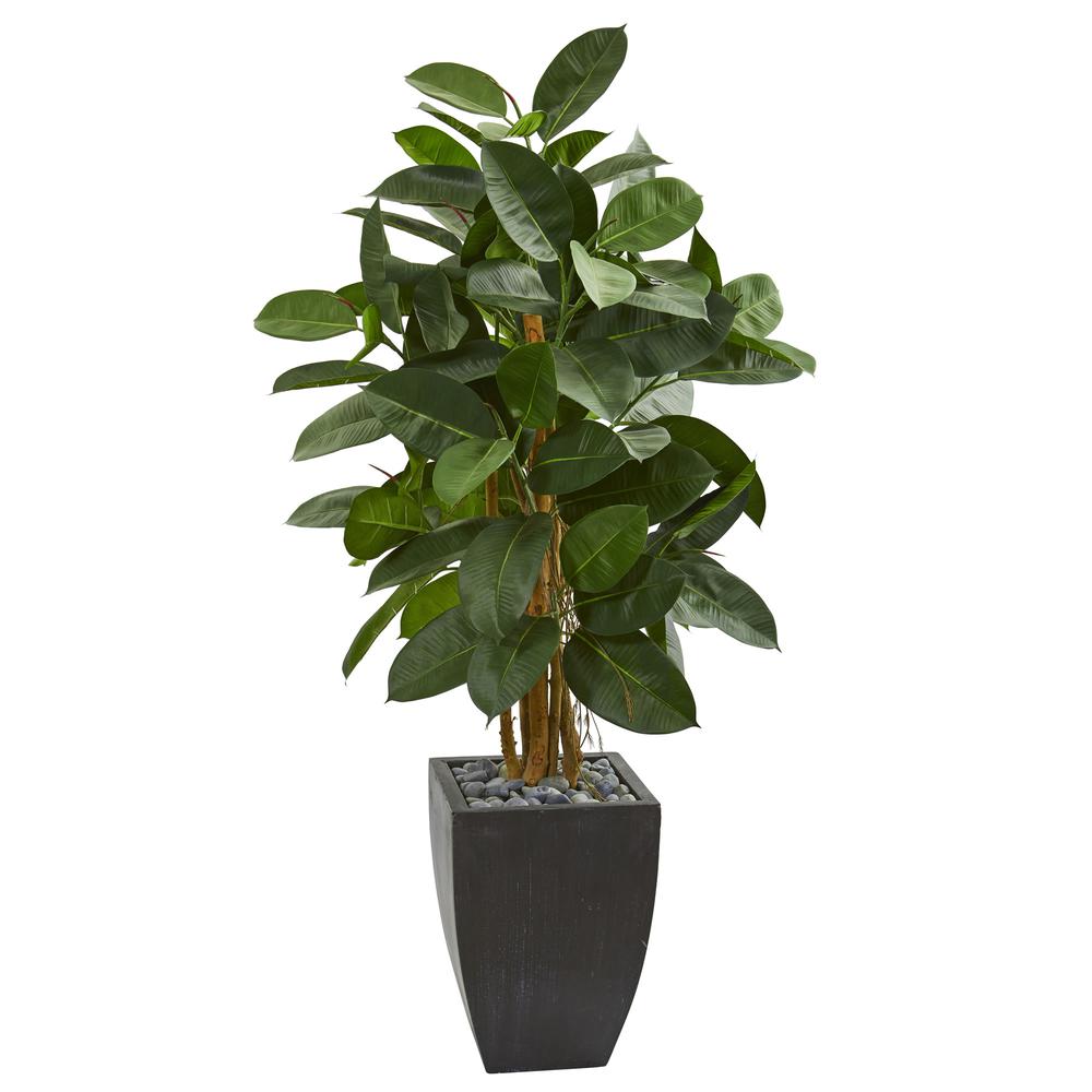 56in. Artificial Rubber Tree in Black Planter. Picture 1