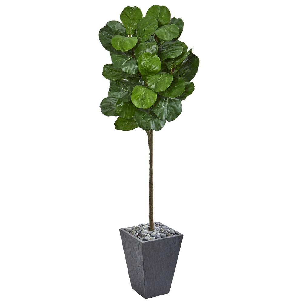 6ft. Fiddle Leaf Artificial Tree in Slate Finished Planter. Picture 1