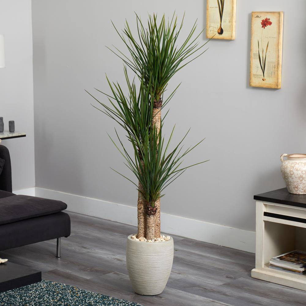 64in. Yucca Artificial Tree in Sand Colored Planter. Picture 4