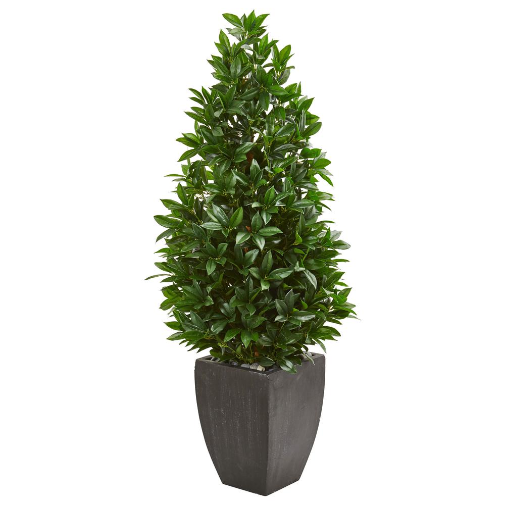 56in. Bay Leaf Cone Topiary Artificial Tree UV Resistant in Black Planter (Indoor/Outdoor). Picture 1