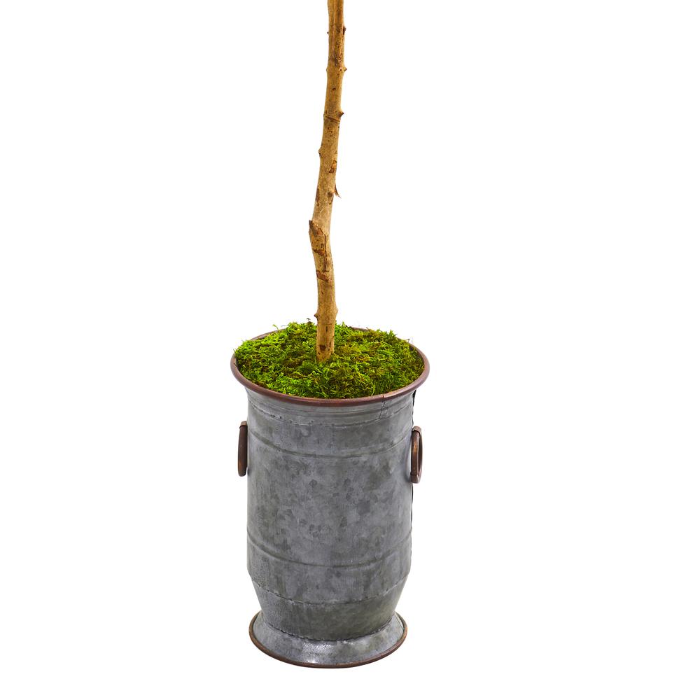 7.5ft. Olive Artificial Tree in Decorative Planter. Picture 2
