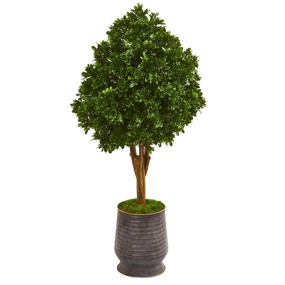 49in. Tea Leaf Artificial Tree in Metal Planter UV Resistant (Indoor/Outdoor). Picture 1