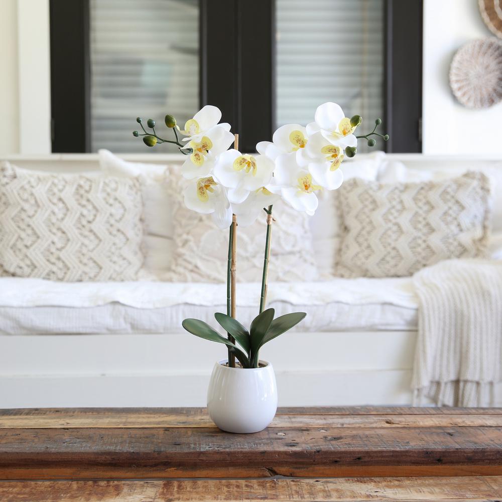 26in. Artificial Double Orchid Phalaenopsis with Decorative Vase (Real Touch). Picture 4