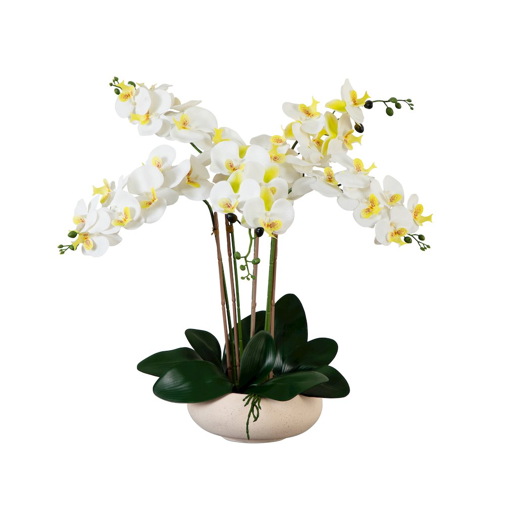 23in. Artificial Phalaenopsis Orchid Arrangement in White Ceramic Planter. Picture 5